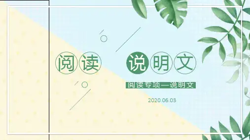 高三复习英语说明文教案课件
