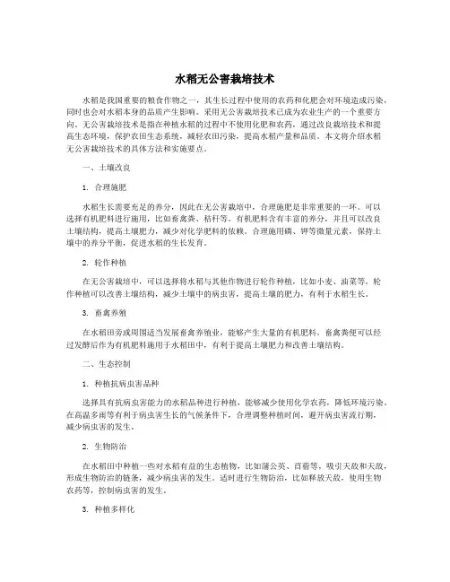 水稻无公害栽培技术