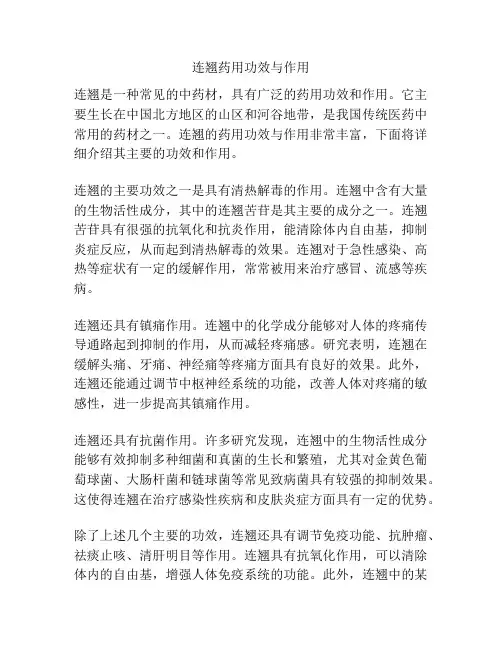连翘药用功效与作用