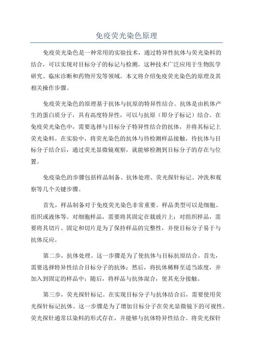 免疫荧光染色原理