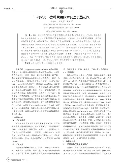 不同林分下套种黄精技术及生长量初报