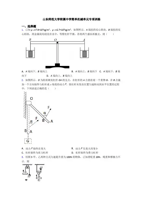 山东师范大学附属中学简单机械单元专项训练