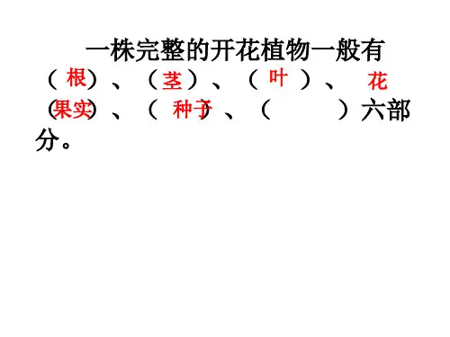《1 不用种子也能繁殖吗课件》小学科学苏教版五年级下册39586.ppt