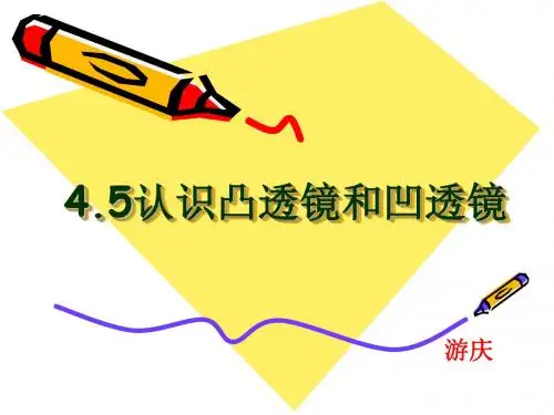初二物理认识凸透镜、凹透镜.ppt