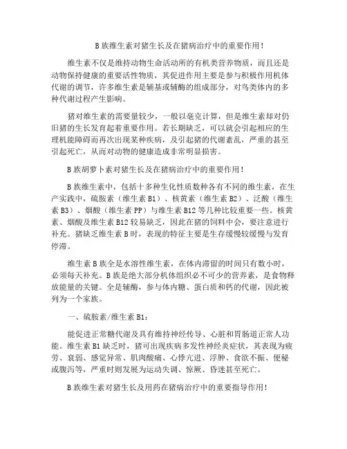 B族维生素对猪生长及在猪病治疗中的重要作用!