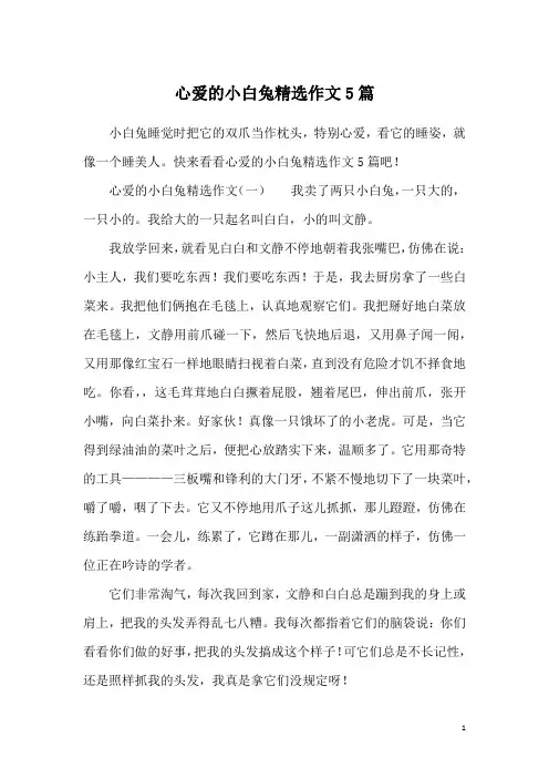 心爱的小白兔精选作文5篇