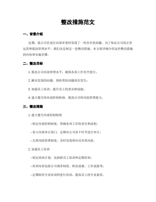 整改措施范文
