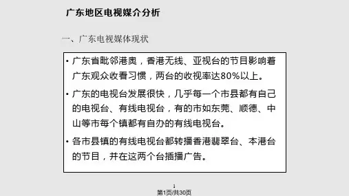 广东地区媒介分析PPT课件