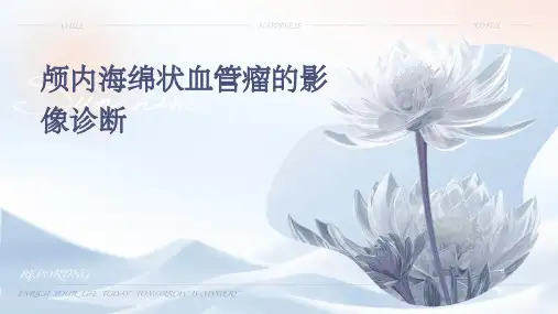 颅内海绵状血管瘤的影像诊断