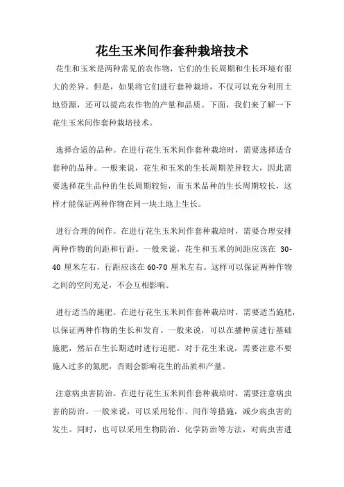 花生玉米间作套种栽培技术