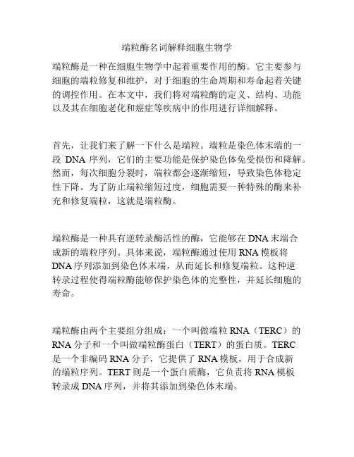 端粒酶名词解释细胞生物学