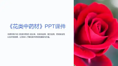 《花类中药材》课件