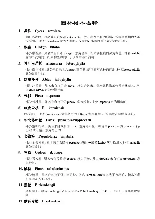 拉丁文释义