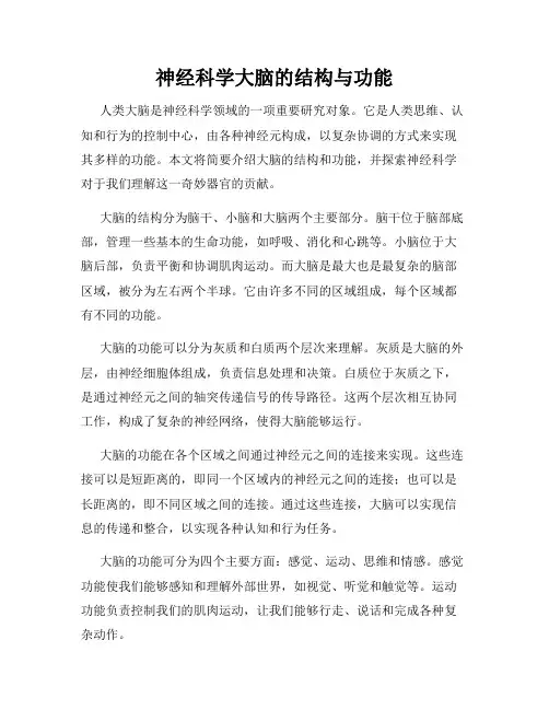 神经科学大脑的结构与功能