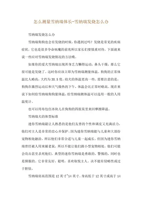 怎么测量雪纳瑞体长-雪纳瑞发烧怎么办