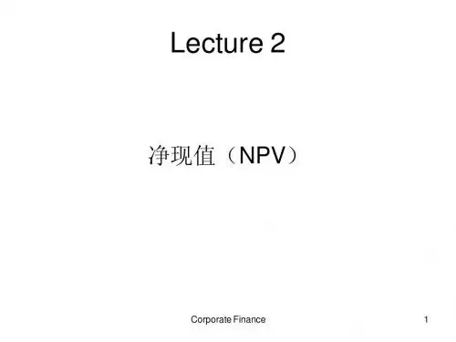 2.净现值(NPV)