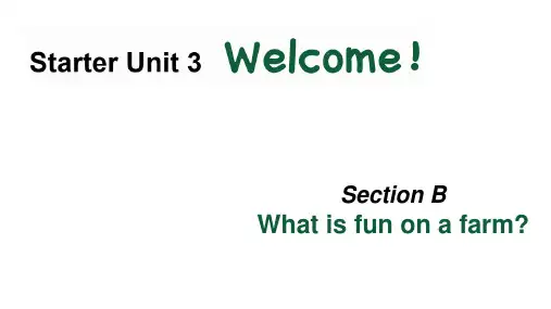 Starter Unit3 Section B(1a-2b)(课件)七年级英语上册(人教版2024)