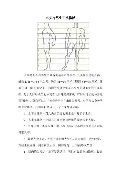 九头身男生正比模板