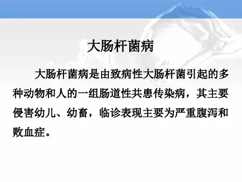 大肠杆菌病描述