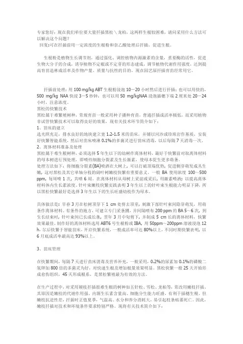 黑松的扦插育苗技术
