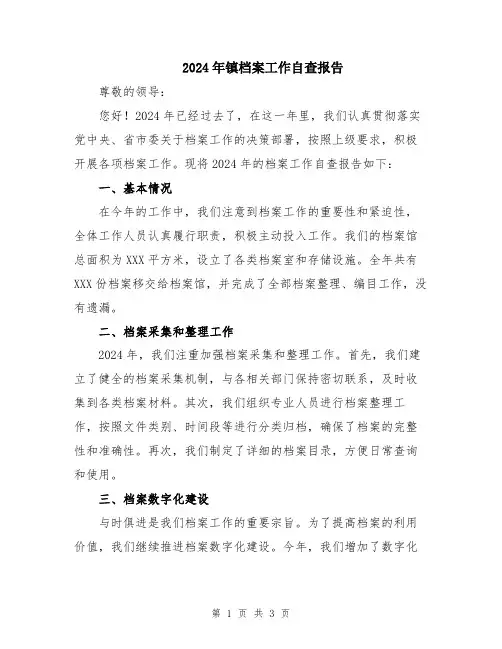 2024年镇档案工作自查报告