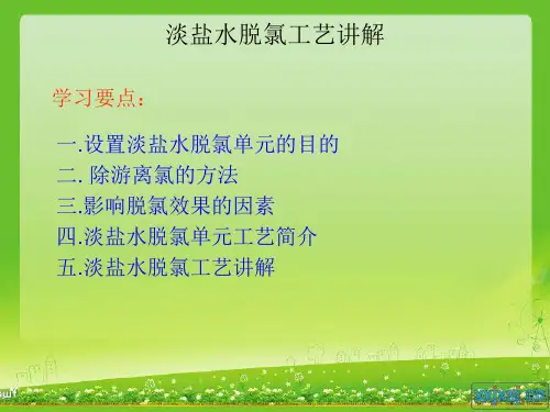 淡盐水脱氯讲义
