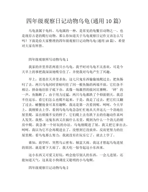 四年级观察日记动物乌龟(通用10篇)