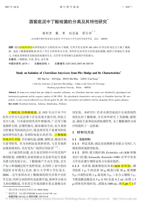 酒窖底泥中丁酸梭菌的分离及其特性研究
