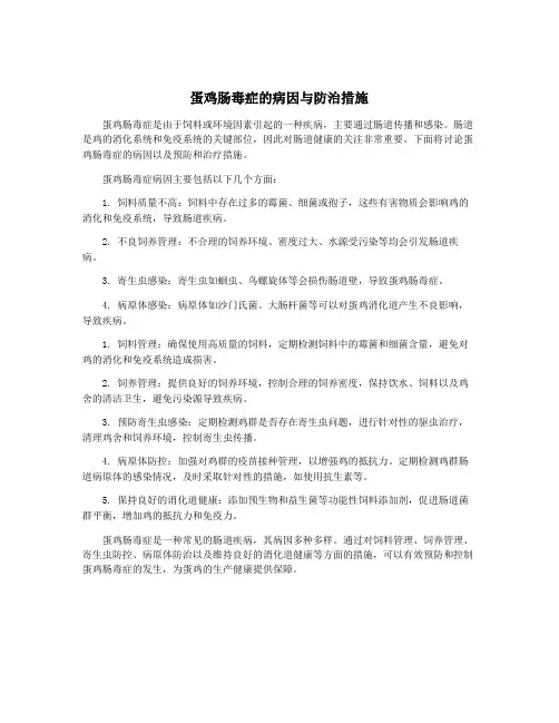 蛋鸡肠毒症的病因与防治措施