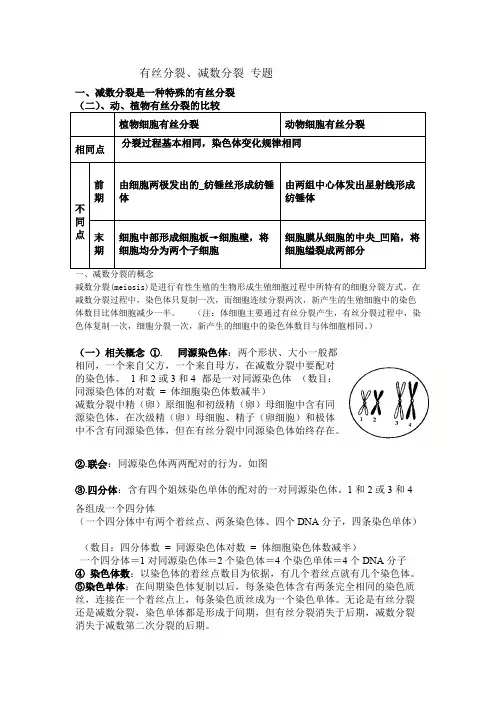 (完整版)有丝分裂减数分裂全部知识点题型总结