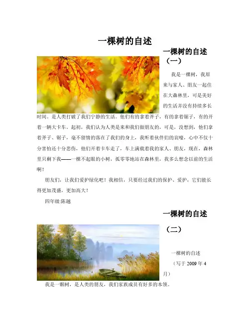 一棵树的自述(共10篇)
