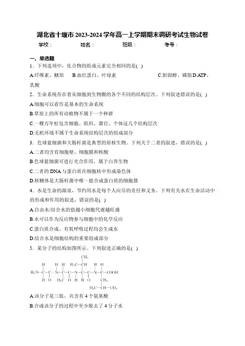 湖北省十堰市2023-2024学年高一上学期期末调研考试生物试卷(含答案)