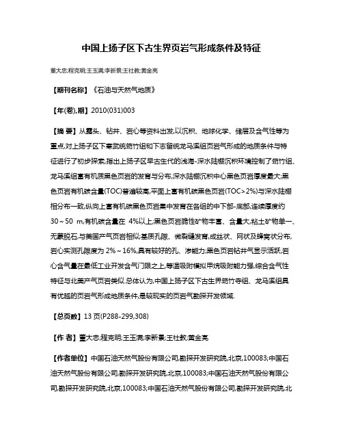 中国上扬子区下古生界页岩气形成条件及特征