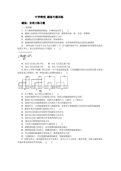 高二物理-磁场专题训练及答案(全套)