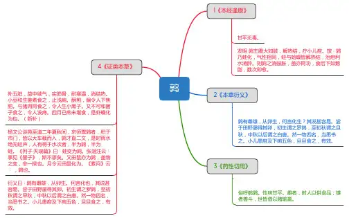 鹑_思维导图_中药学_药材来源详解