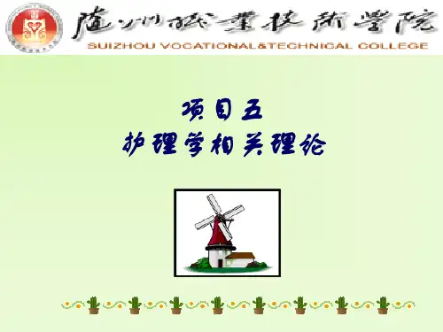 护理学相关理论