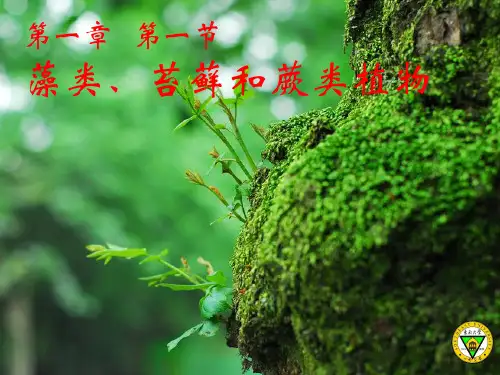 3.1.1藻类、苔藓和蕨类植物