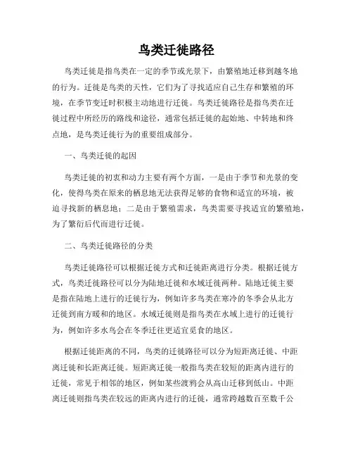 鸟类迁徙路径