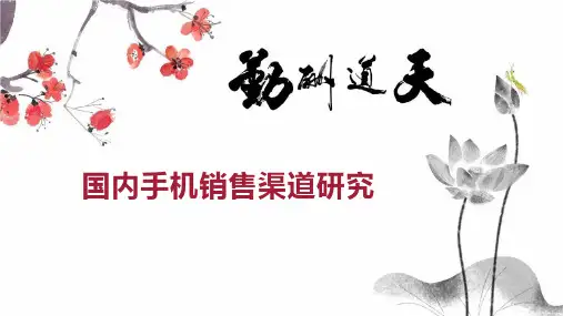 国内手机销售渠道研究