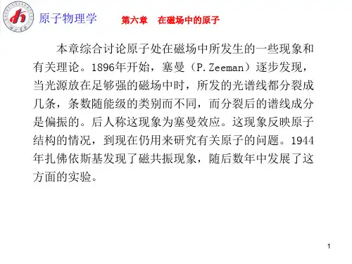 原子物理学(第六章)