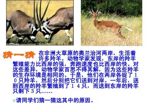 七年级政治下册人生自强少年始课件人教版