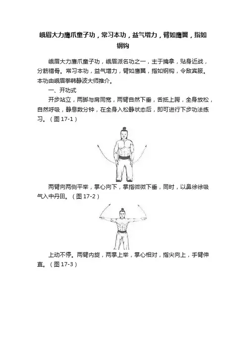 峨眉大力鹰爪童子功，常习本功，益气增力，臂如鹰翼，指如钢钩