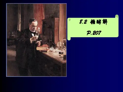 糖酵解