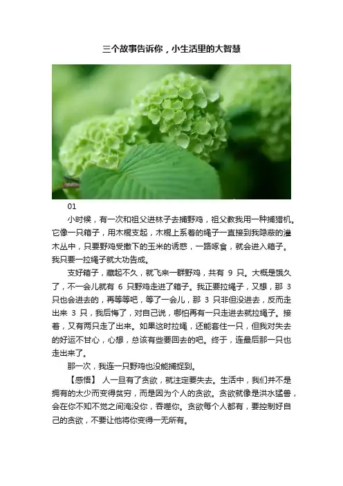 三个故事告诉你，小生活里的大智慧