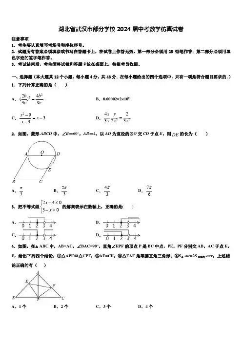 湖北省武汉市部分学校2024届中考数学仿真试卷含解析