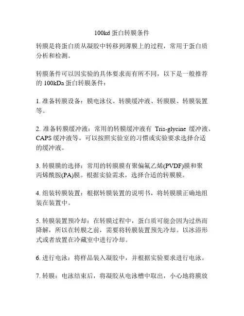100kd蛋白转膜条件