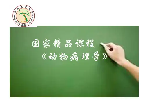 细胞超微结构及基本病理过程