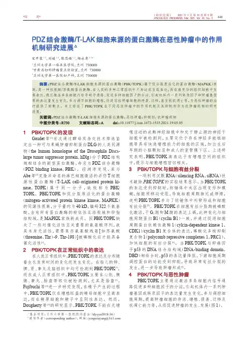 PDZ结合激酶T-LAK细胞来源的蛋白激酶在恶性肿瘤中的作用机制研究进展
