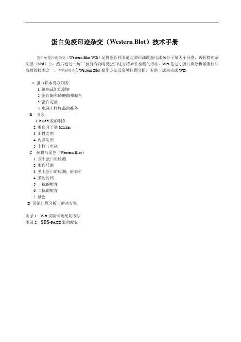 蛋白免疫印迹杂交技术手册