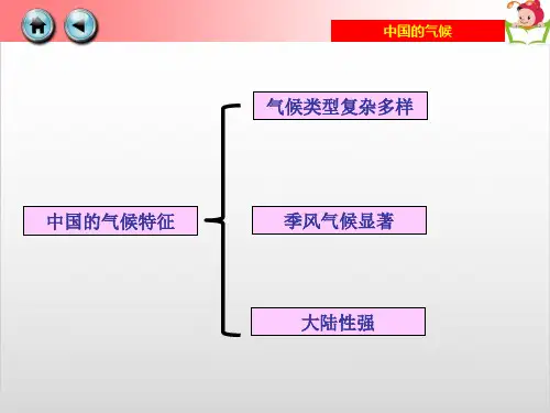 地理小中考复习材料——中国气候专题PPT精美版
